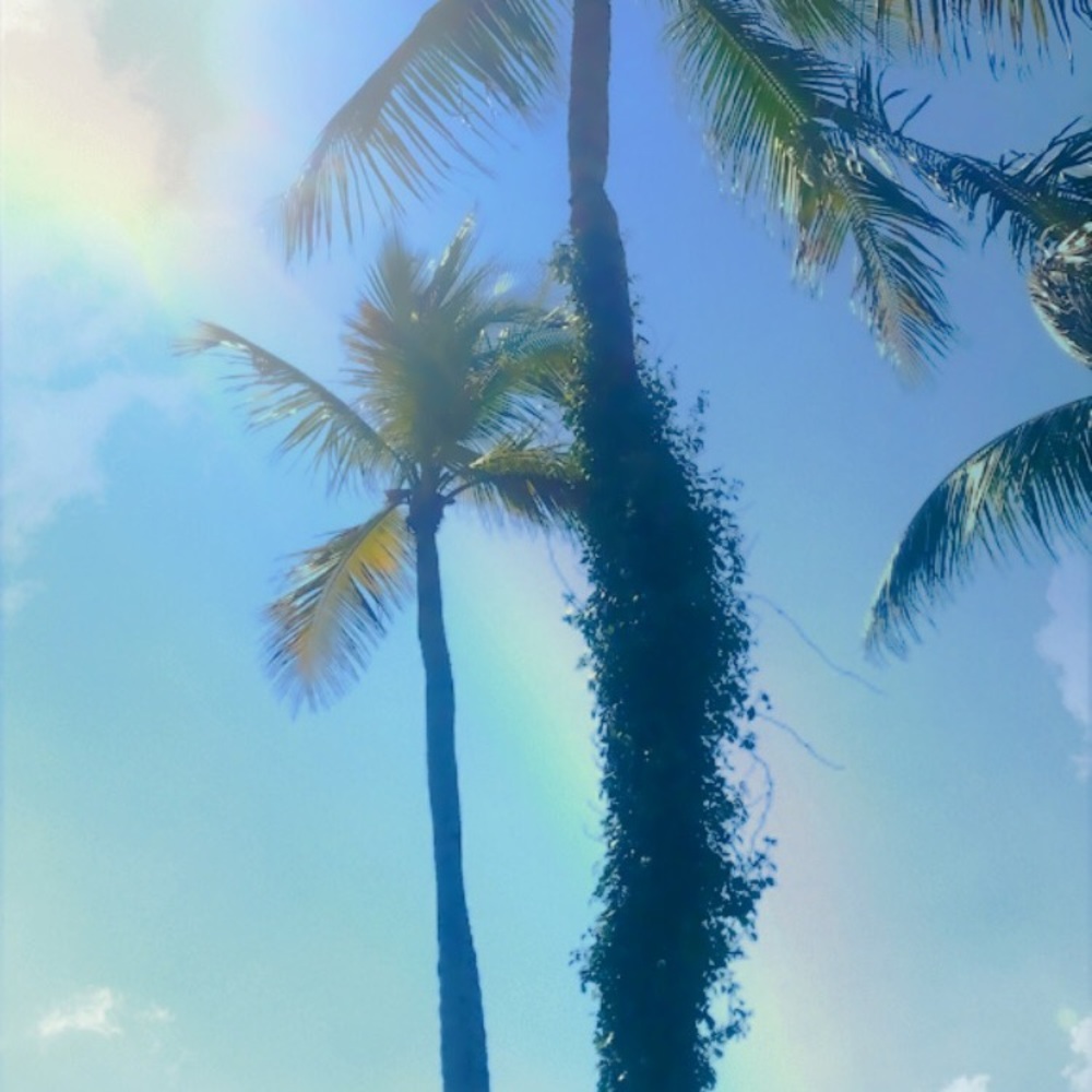 Meet your Posher, Annie